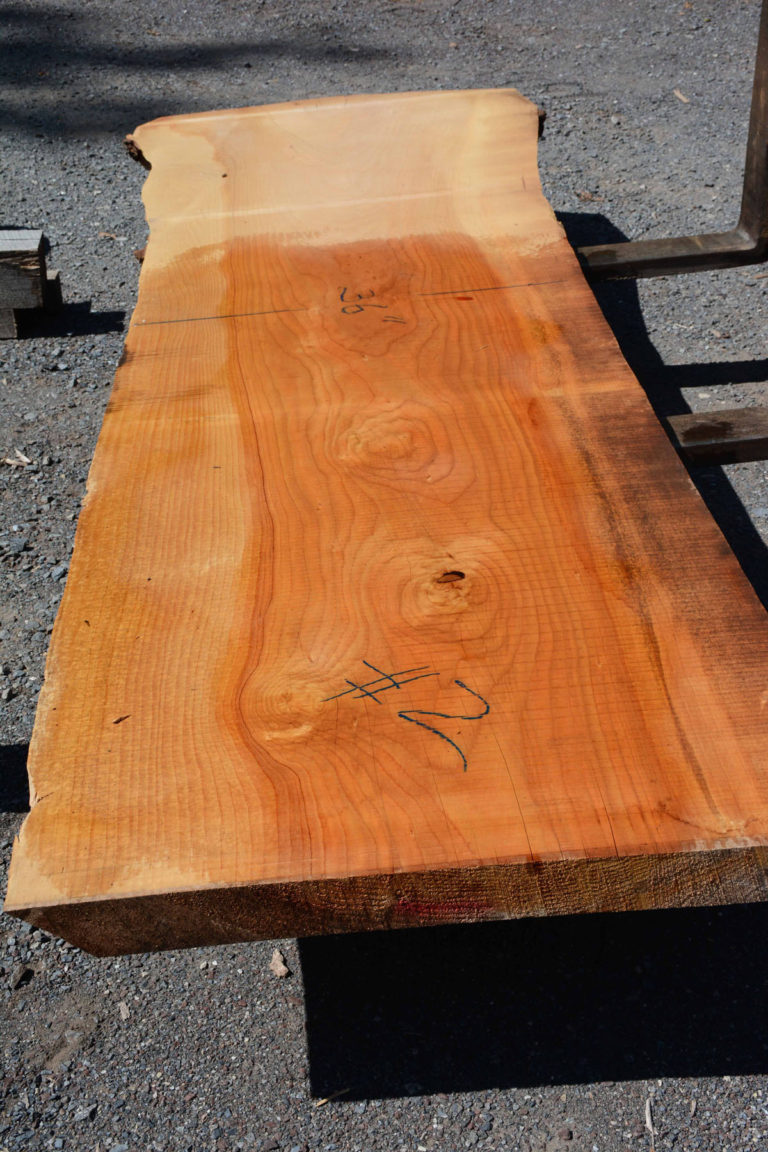 Cedar of Lebanon Talarico Hardwoods