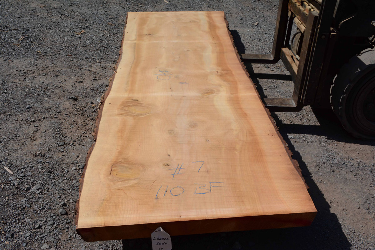 Cedar of Lebanon Talarico Hardwoods