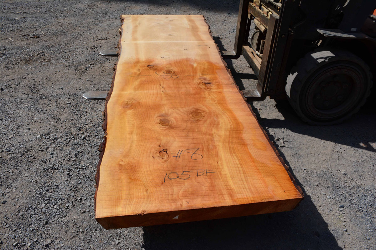 Cedar of Lebanon Talarico Hardwoods