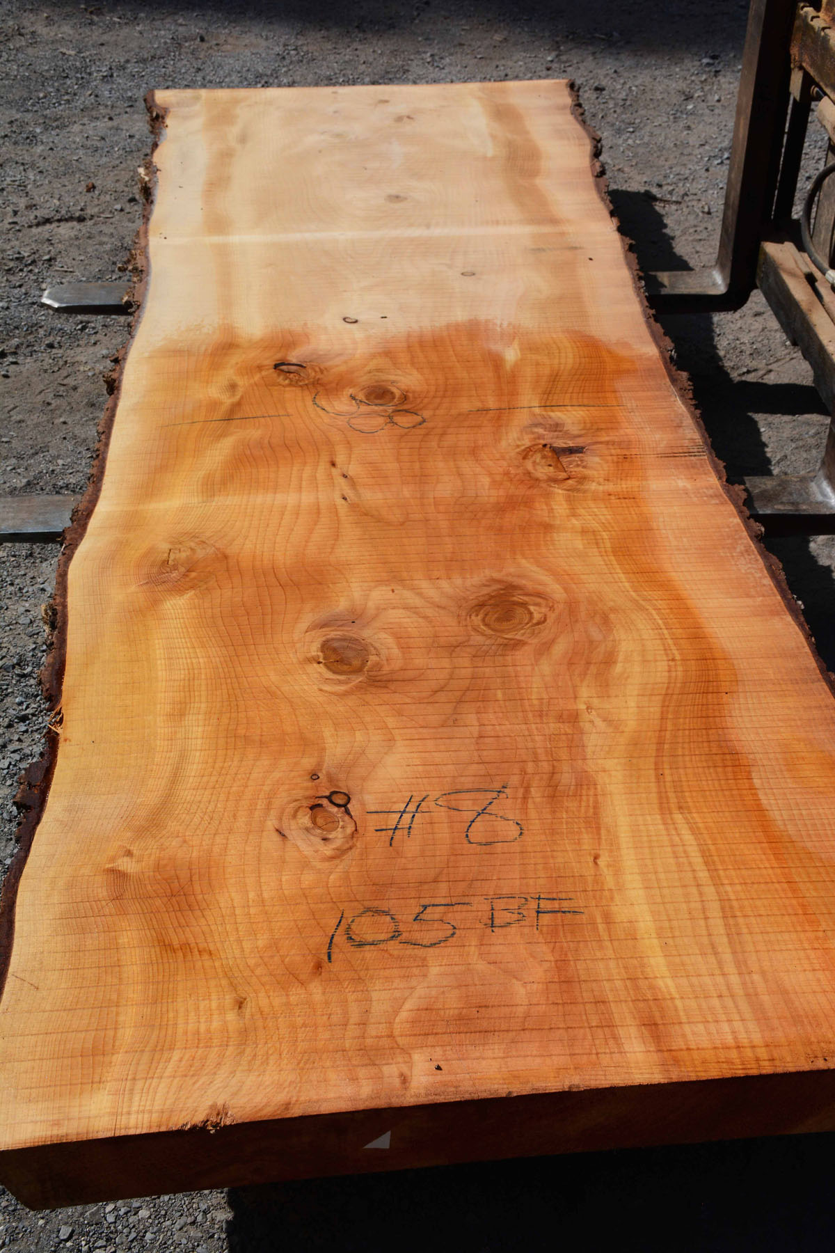 Cedar of Lebanon Talarico Hardwoods