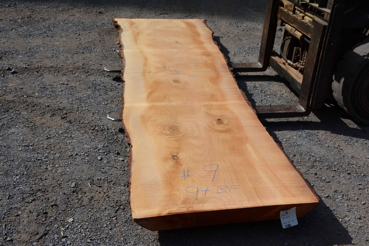 Cedar of Lebanon Talarico Hardwoods
