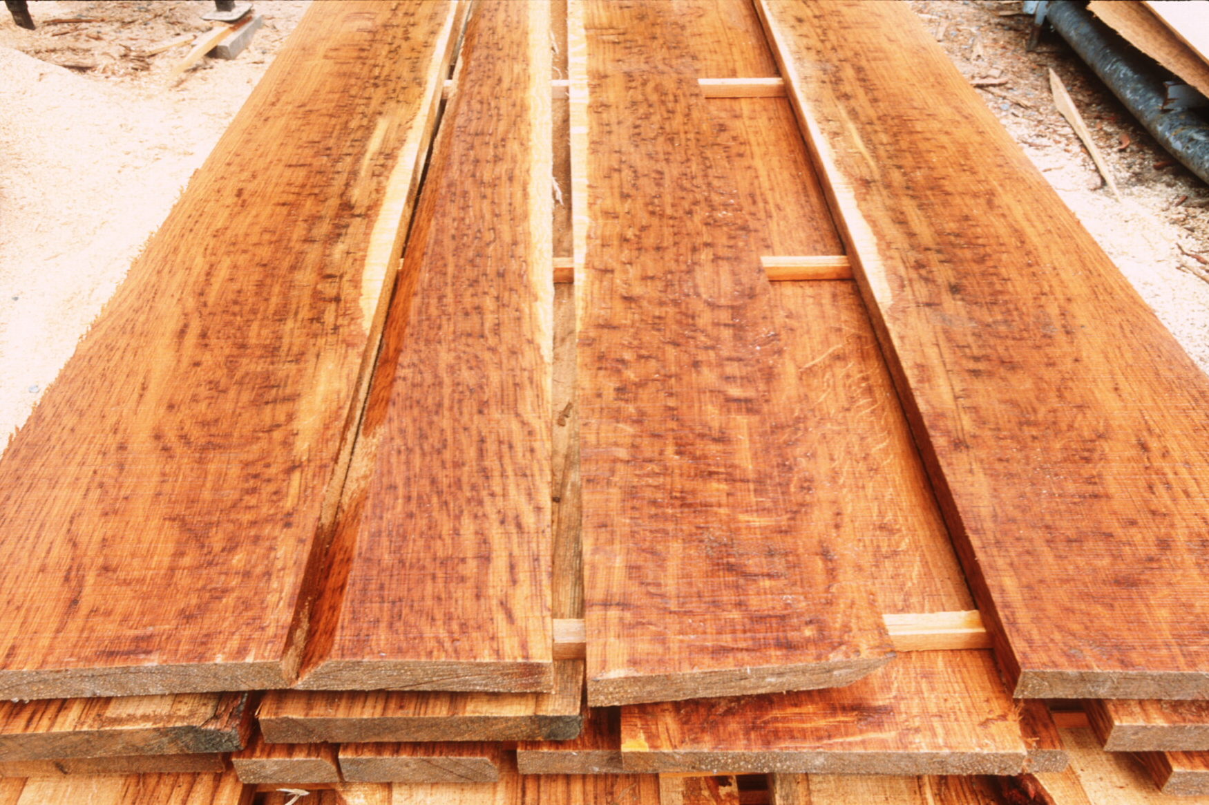 PA 5532Brown Oak Lumber Fresh Cut Talarico Hardwoods