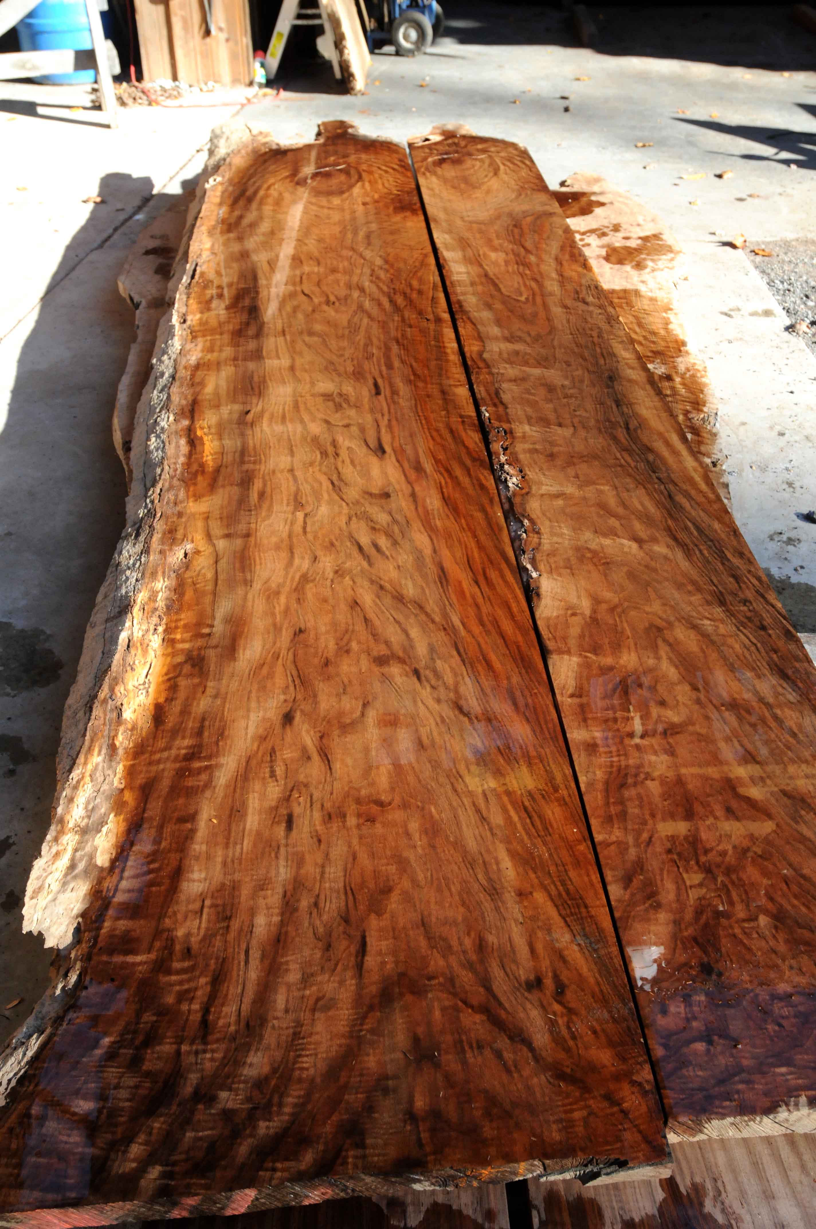 CURLY ENGLISH WALNUT BOOKMATHED 5 Talarico Hardwoods