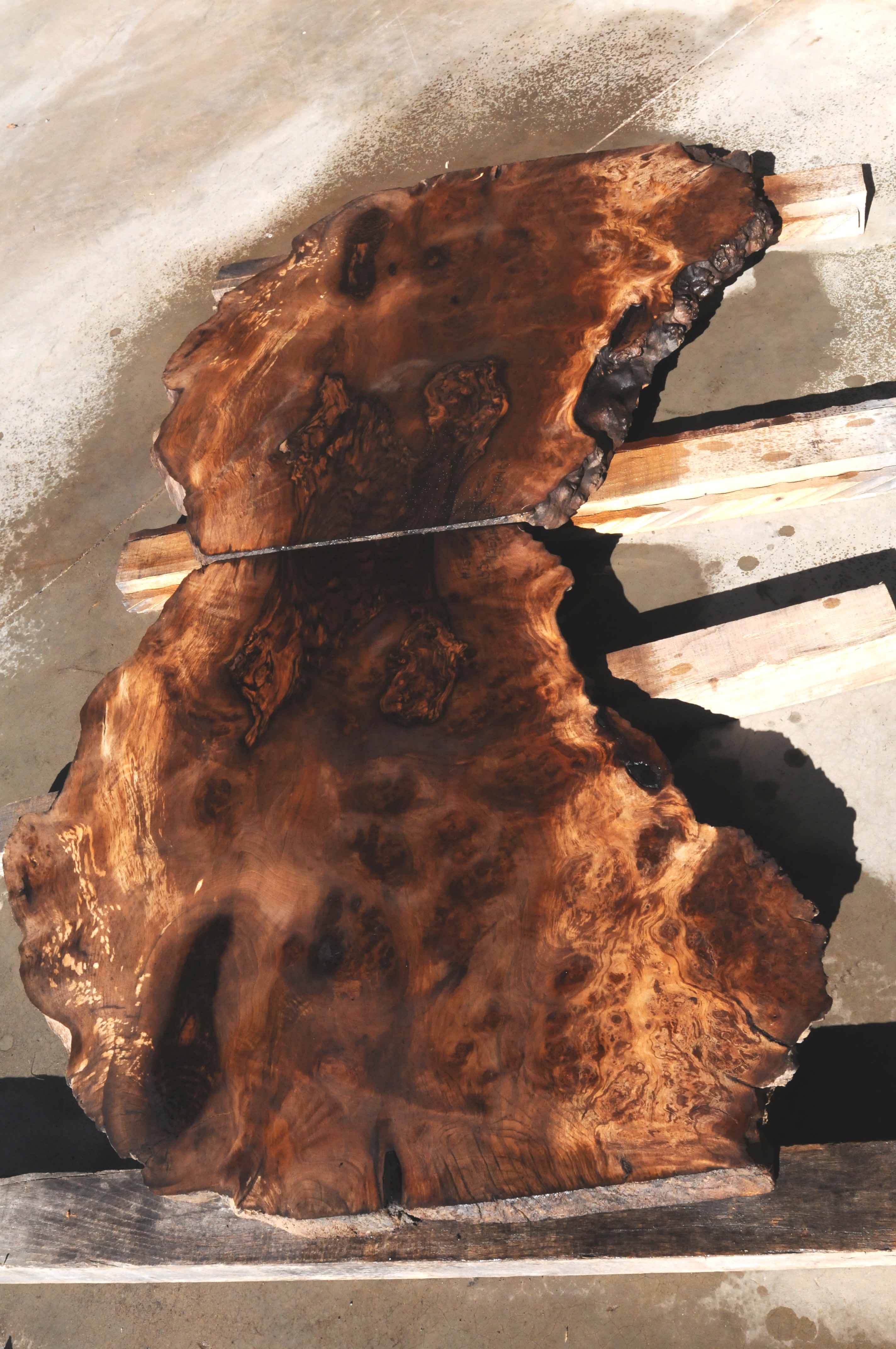 EndMatched Circassian Walnut Burl-1551n | Talarico Hardwoods