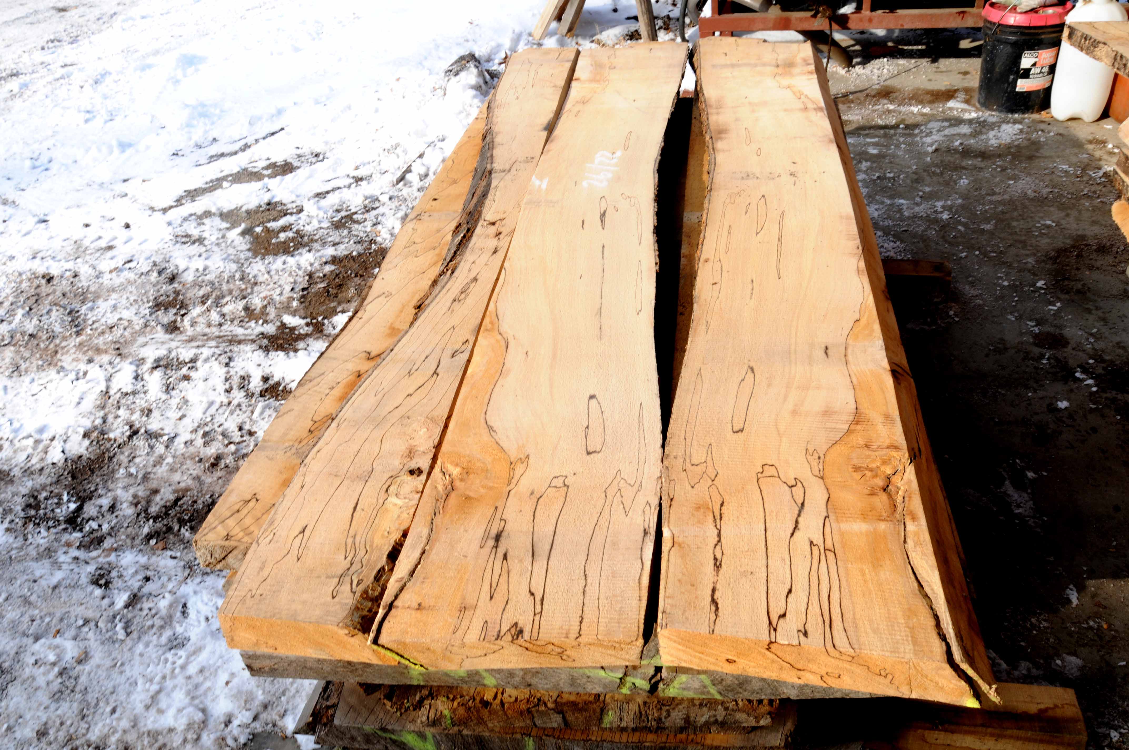 Spalted European Beech Talarico Hardwoods