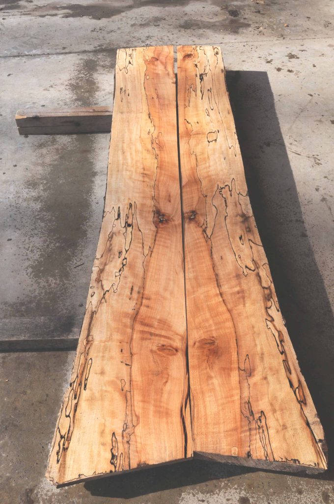 Spalted European Beech | Talarico Hardwoods